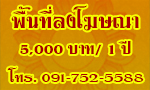 contact-us
